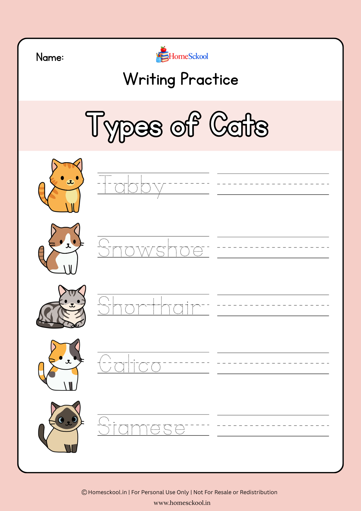 Grade 1 English Writing Practice Workbook (Printable PDF) - Image 3